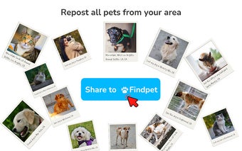 Repost any lost or found pet to Findpet.com