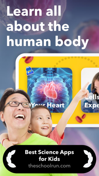 Human Body  Anatomy for Kids