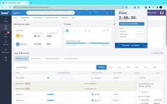Pulse: Keka Time Logger