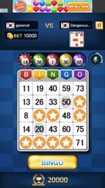 Bingo Master King
