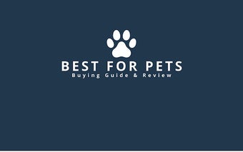 BestForPets