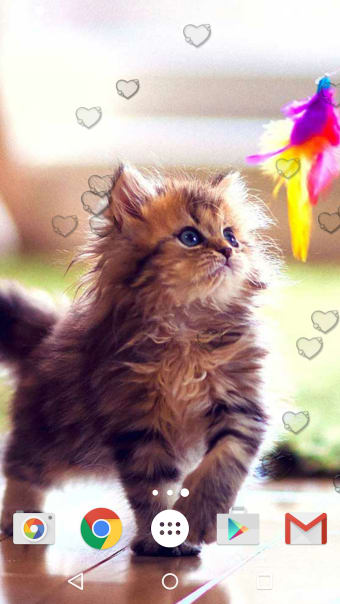 Cute Kittens Live Wallpaper