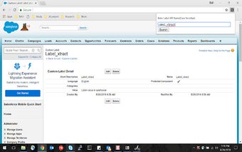 Salesforce Label Value Finder