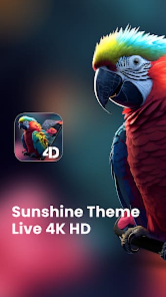 Sunshine 4K HD Wallpaper App