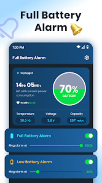 Full Battery 100 Alarm