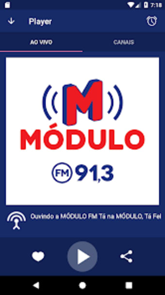 Módulo FM 913
