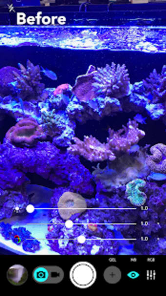 Aquarium Camera