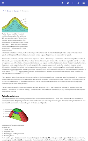 Body tissues