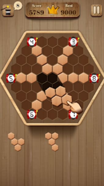 Wooden Hexagon Fit: Hexa Block