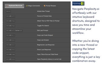 Hipsnap Productivity Companion for Perplexity.ai