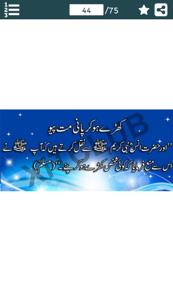 Urdu Ahadees