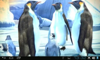 Penguins 3D Pro