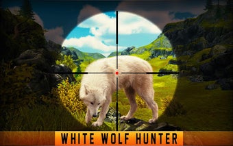 Wild Hunter 2018