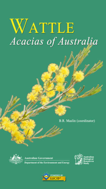Wattle - Acacias of Australia