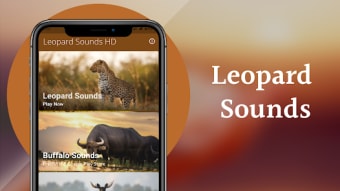 Leopard Sounds