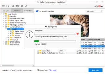 Stellar Photo Recovery Free