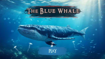 The Blue Whale