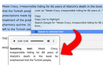 Selected text to speech