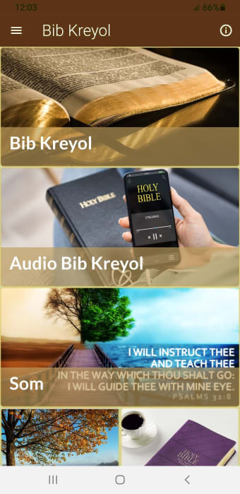 Bib Kreyol