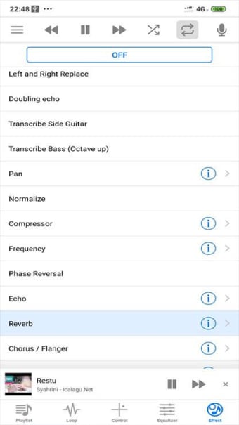 Audio Recorder With Effect