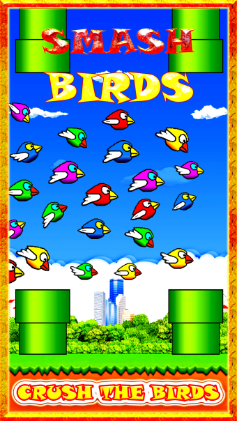 Smash Birds: Fun and Cool for Boys Girls and Kids