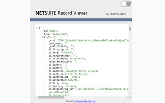 Suitelook: NetSuite Record Viewer