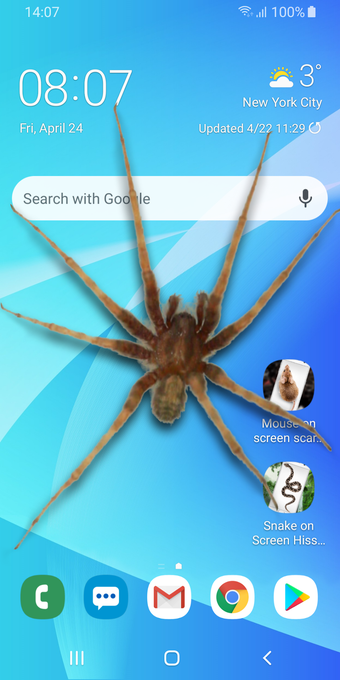 Spider in Phone Funny Joke - iSpider