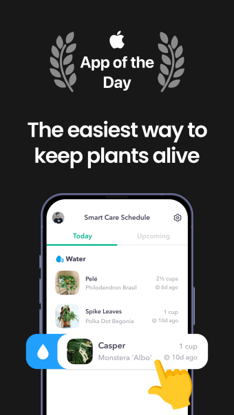 Plant Identifier  Care - Greg