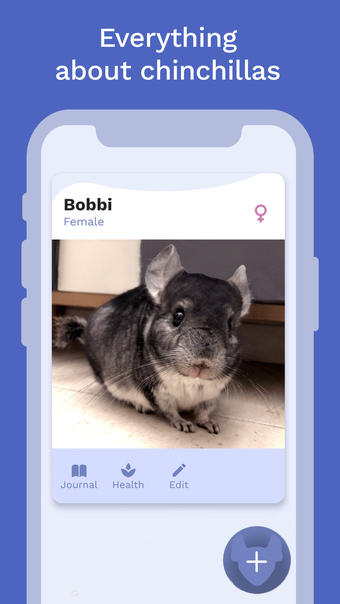 Chinchilla Care