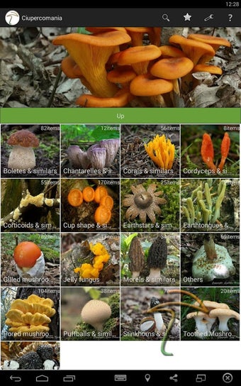 Ciupercomania - mushroom guide