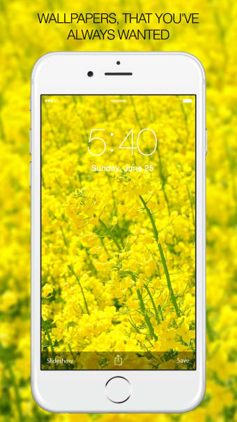 Yellow Wallpapers  Yellow Backgrounds