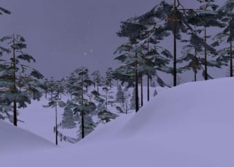 Winter Valley 3D