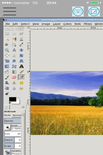 XGimp Image Editor Paint Tool