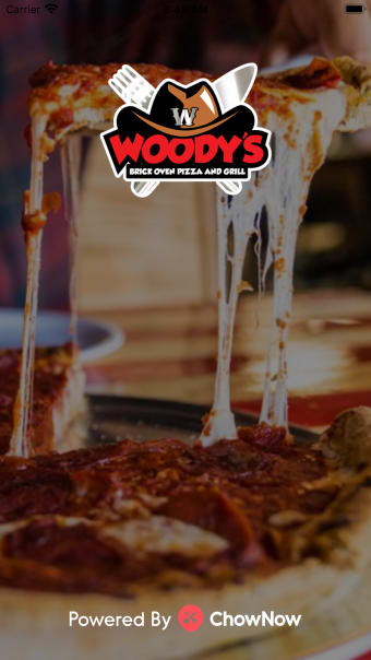 Woodys Pizza  Grill
