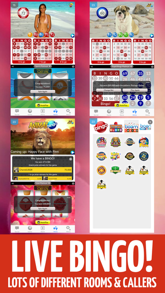 BOOM BINGO: Live Video  Slots