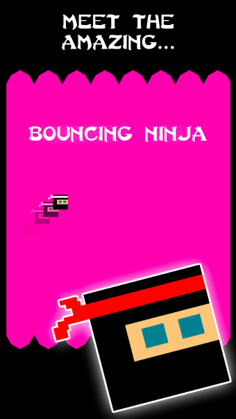 Bouncy Ninja - The Original