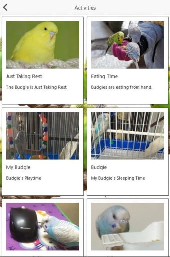 Budgie Care - Complete Budgie App