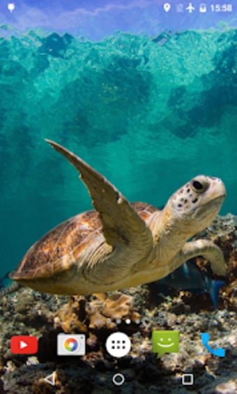 Underwater Sea Turtle 3D LWP