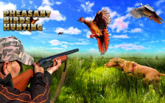 Pheasant birds hunting Games