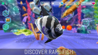 Fish Abyss: Aquarium Simulator
