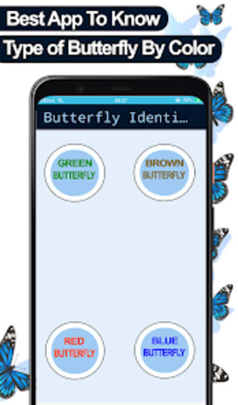 Butterfly Identifier By Photo