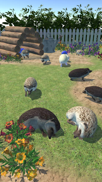Hedgehog Friends