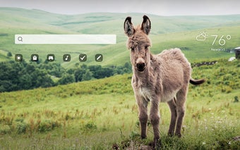 Donkey HD Wallpapers New Tab