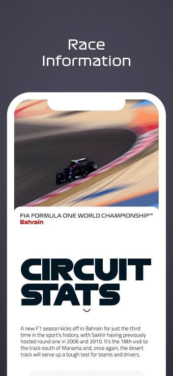 F1® Race Programme