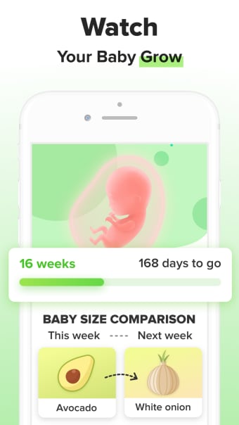 Nurture Pregnancy Week by Week