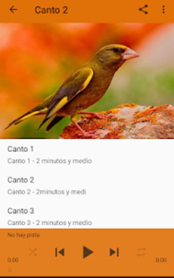 Canary Verderon HD