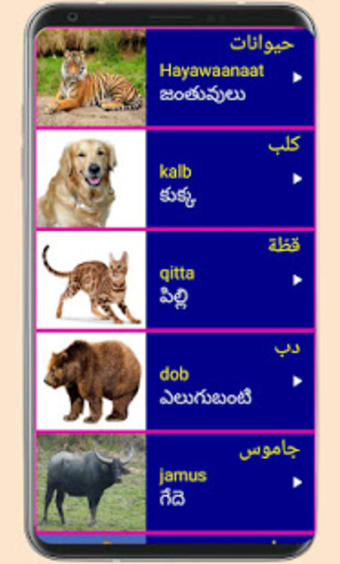 Learn Arabic from Telugu