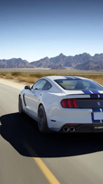 Mustang Wallpapers - Free Backgrounds HD