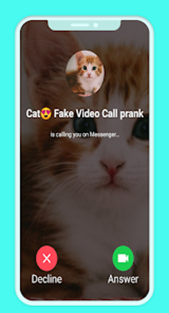 Cat Fake Video Call prank