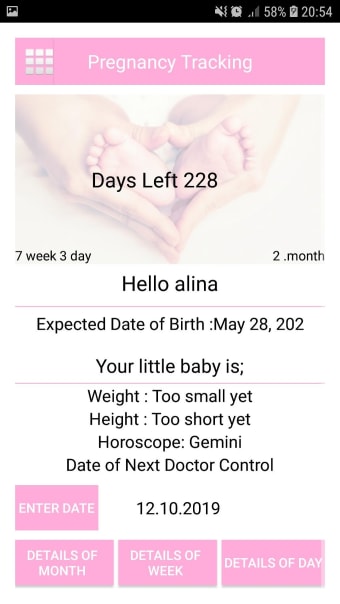 Day by Day Pregnancy Tracker